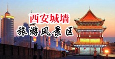 插插性欧美中国陕西-西安城墙旅游风景区
