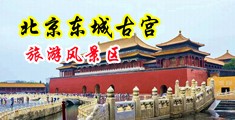 草BB网站中国北京-东城古宫旅游风景区
